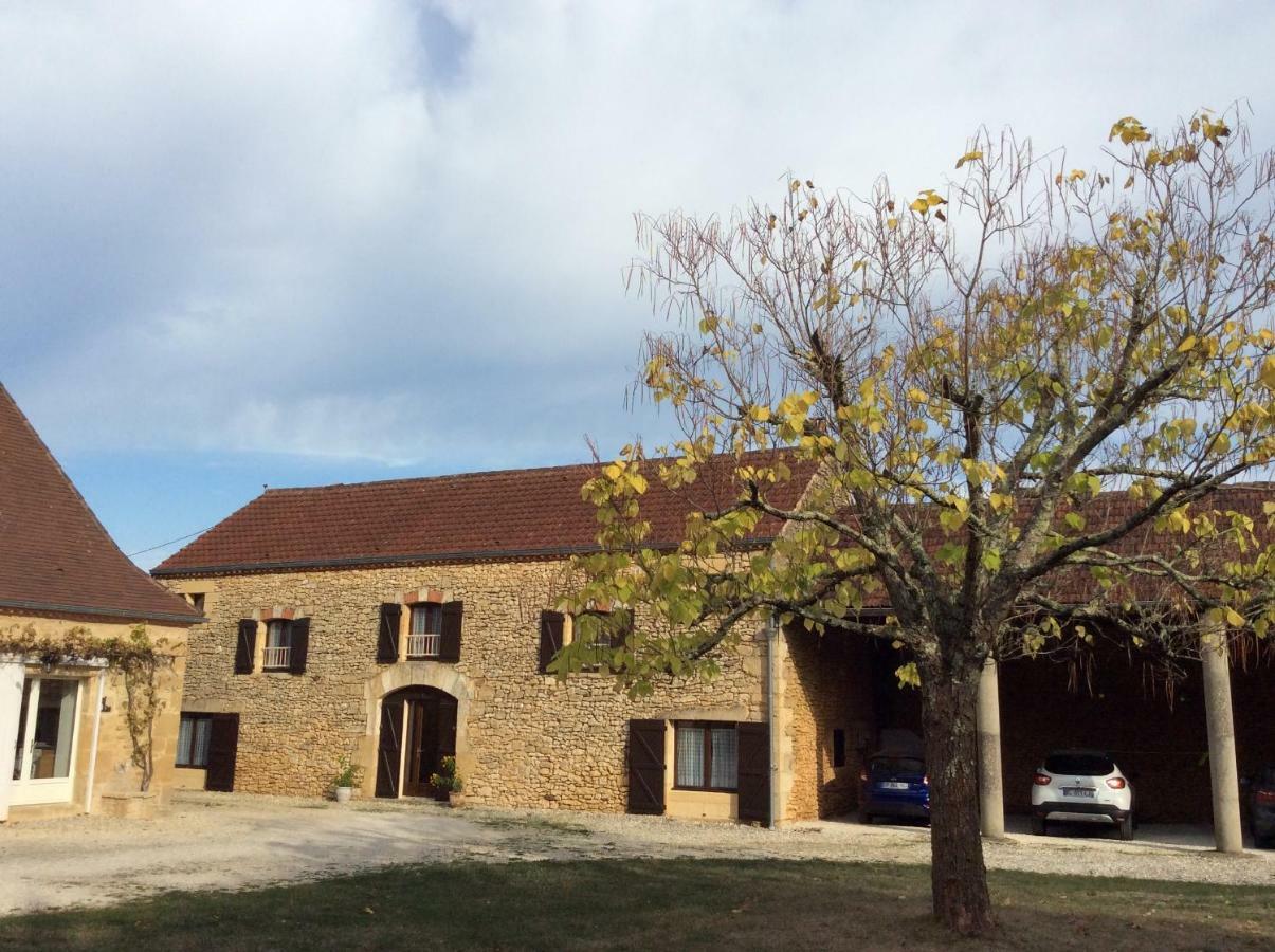 Villa Domaine De Manilau Le Buisson-de-Cadouin Esterno foto